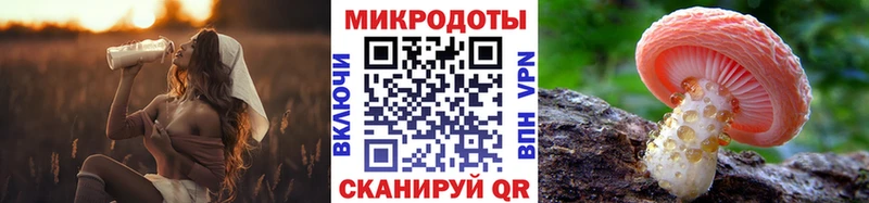 Купить где  Омск  Псилоцибиновые грибы Cubensis 